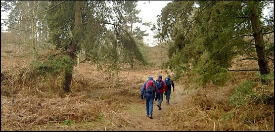 A pleasant walk through woodland. Just a pity it was the wrong way.