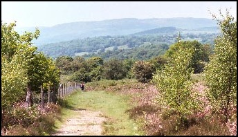 The path to Pontneddfechan.