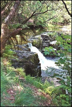 What we thought were the Sgwd Gwladys Falls