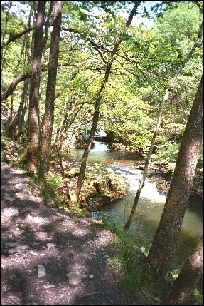 Approaching the waterfalls on the Neath