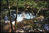 River Neath and Ddweli Falls . View 1