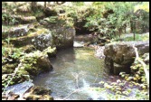 The river before we crossed the River Nedd .