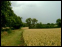 No rain on the Monarch's Way .