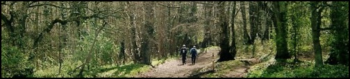 Two of our number entering the woodland between Nibley Knoll and Wootton Hill. A very pleasant part of the walk.