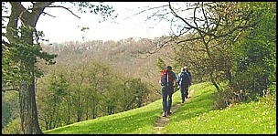 Going up the hill to Uley Bury.