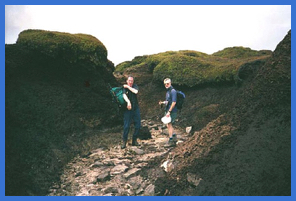 Larry and Mick walking in a grough .