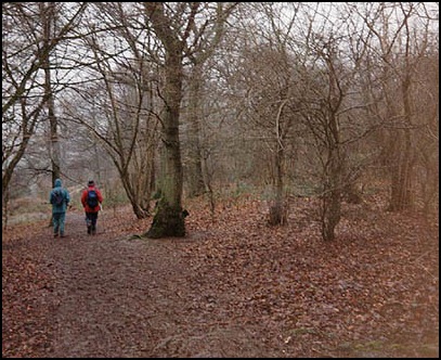 Back on the Cotswold way going north from Crickley Hill.