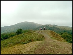 View on Swinyard Hill. looking north towards the 
