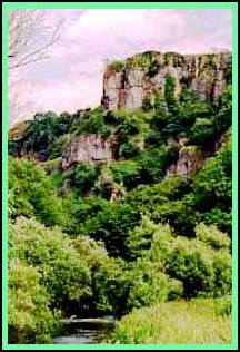 Chee Tor.
