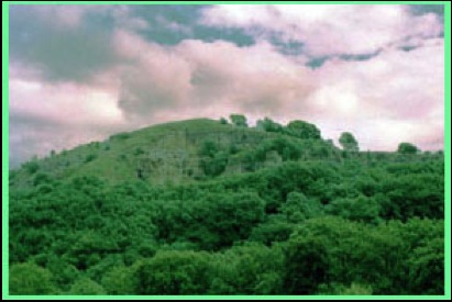 The steep wooded hill to the south of Millers Dale Station.