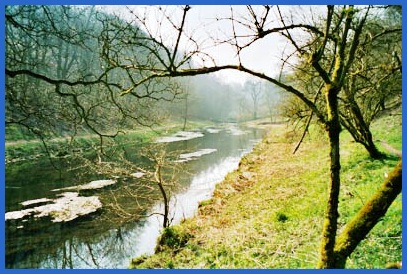 Bradford Dale