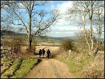 Mid day sunshine on way to Roman Remains
