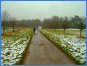 A good solid walking surface near the Iron Ladder and first Check Point .
