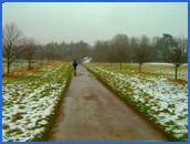 A good solid walking surface near the Iron Ladder and first Check Point .