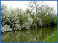 Peaceful Canal .
