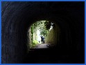 Inside the 'walkers'tunnel .
