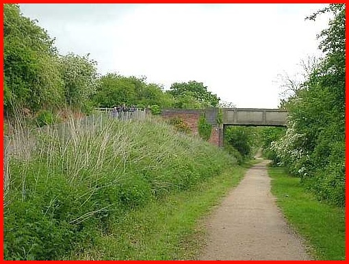 Looking northwards along the disused railway line.