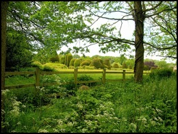 A view of the famous Packwood House Yew Garden .