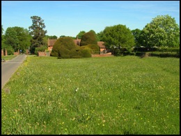 The meadow opposite Packwood House .