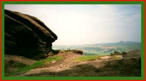 On the Roaches
