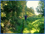 10.03 a.m. The worst of the mud is behind us as we walk up hill on more solid ground towards Branston .