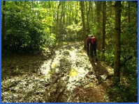 11.40 a.m. - Just when we thought the walking was getting easier we met more mud .