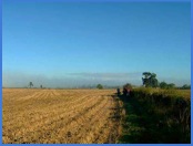 9.38 a.m. We have been walking for almost an hour and the sun is starting to kill off the mist .