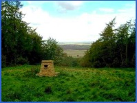 11.20 a.m. - Looking to our left, through the trees, we were able to get occasional views of the Vale of Belvoir .