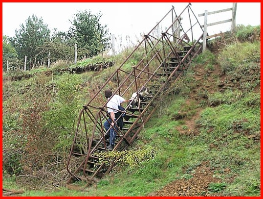 A tricky maneuver - getting a dog down the 