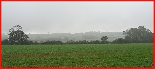 Mick insisted I took a photograph of this hillside seen on the route between Branston and Eaton .
