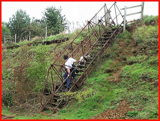 A tricky maneuver - getting a dog down the 