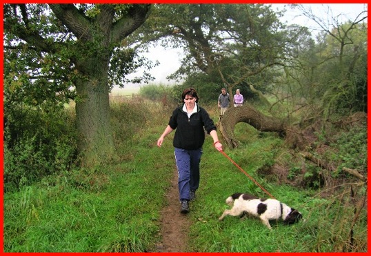 Keeping a dog under control on the muddy and slippy path after Mary Lane .