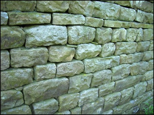 Limestone wall seen between Laithbank and Little Town.