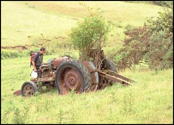 imm003 Tractor and tree