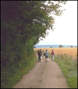 Walking by Madgecombe Coppice.