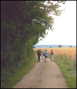 Walking by Madgecombe Coppice.