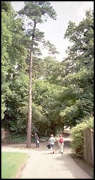 Is Larry really holding up the tall tree?
