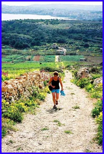 Uphill towards Selmun Palace. St Paul's Bay is in the background.