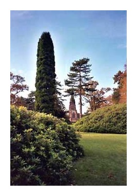 Clumber Chapel almost hidden behind the trees.