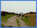 As you go further along Froggatt Edge the trees diminish and the landscape becomes more rocky .