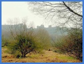 Curbar Edge from Curbar Wood .