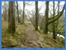 Looking back as we leave Burbage Brook and walk towards Fox House Inn .