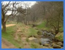One of the bridges that cross Burbage Brook to the north of the gorge .