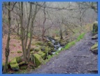 Our first view of Burbage Brook as we enter Padley Gorge .