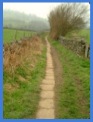 Spooner Lane becomes a path .