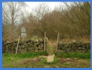 The entry into Froggatt Wood .