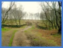 The woodland approach onto Froggatt Edge .