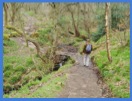 Anne, walking through the wood .