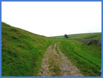 With the narrow broken path behind us our route entered pastureland .