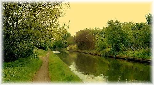 The Grand Union Canal north of Olton.